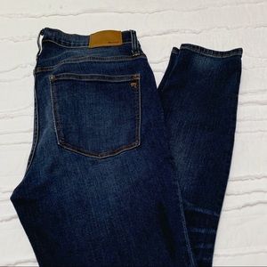 Madewell 9-inch High Rose Skinny Jean